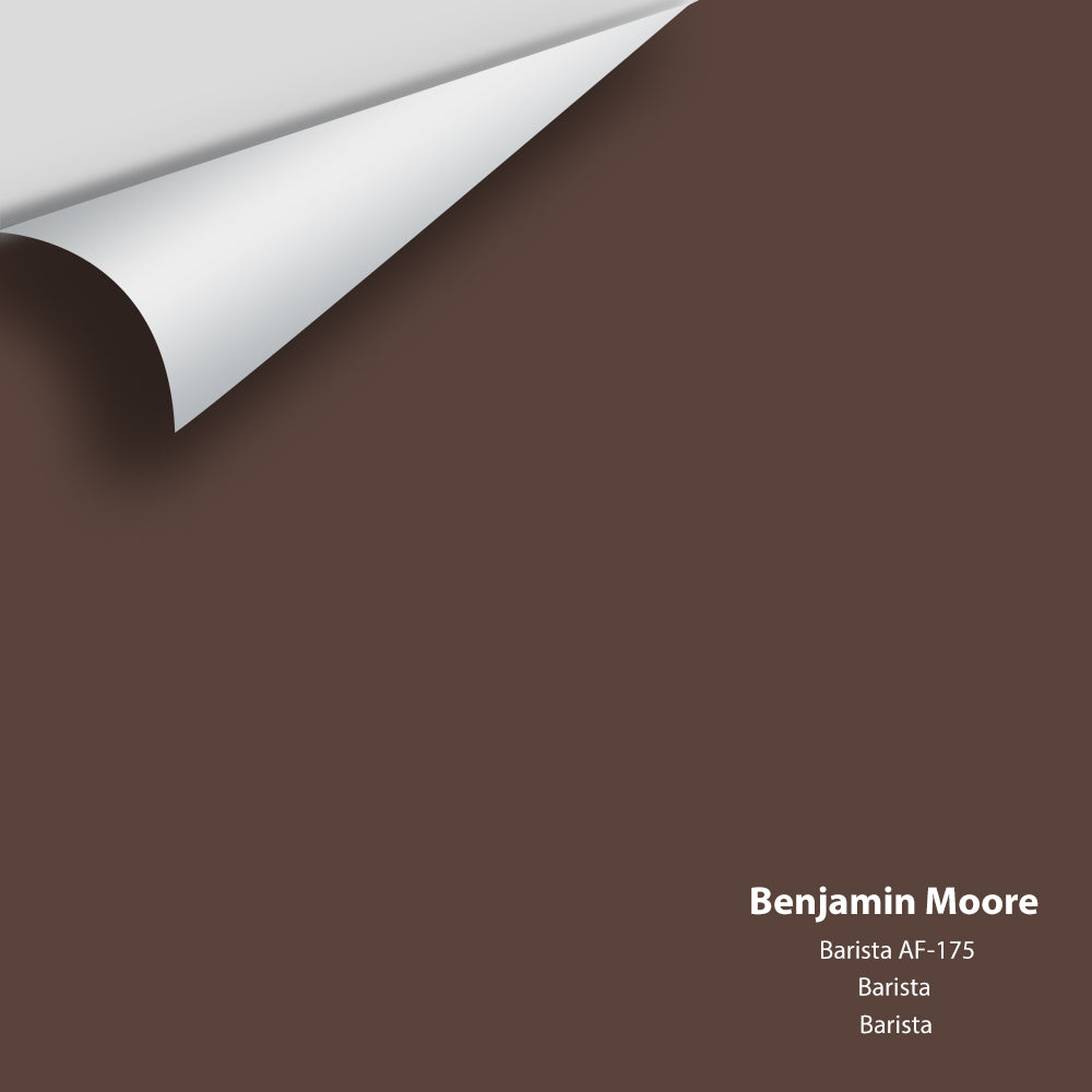 Digital color swatch of Benjamin Moore's Barista AF-175 Peel & Stick Sample available at Regal Paint Centers in MD & VA.