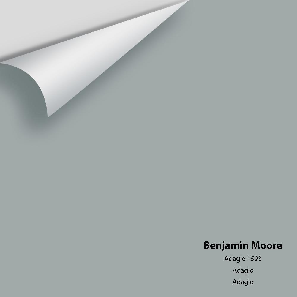 Digital color swatch of Benjamin Moore's Adagio 1593 Peel & Stick Sample available at Regal Paint Centers in MD & VA.