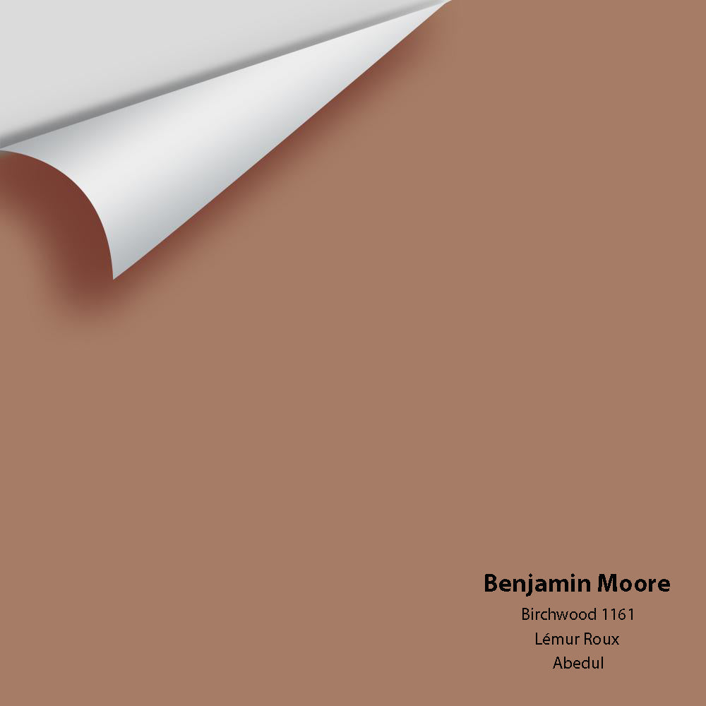 Digital color swatch of Benjamin Moore's Birchwood 1161 Peel & Stick Sample available at Regal Paint Centers in MD & VA.