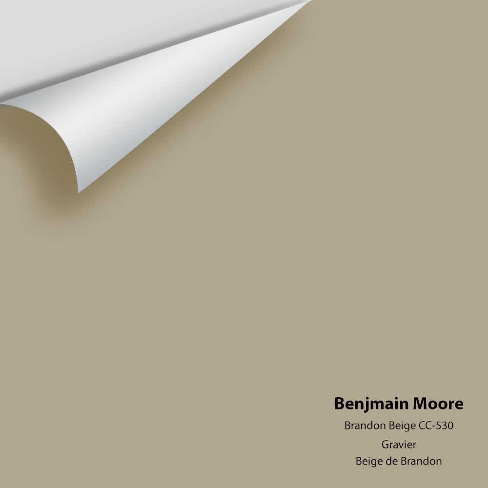 Digital color swatch of Benjamin Moore's Brandon Beige CC-530 Peel & Stick Sample available at Regal Paint Centers in MD & VA.