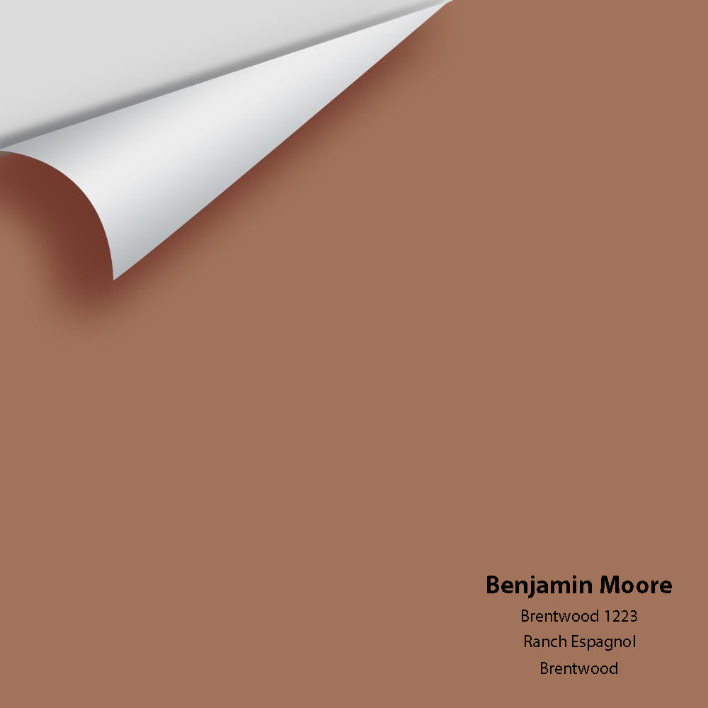 Digital color swatch of Benjamin Moore's Brentwood 1223 Peel & Stick Sample available at Regal Paint Centers in MD & VA.