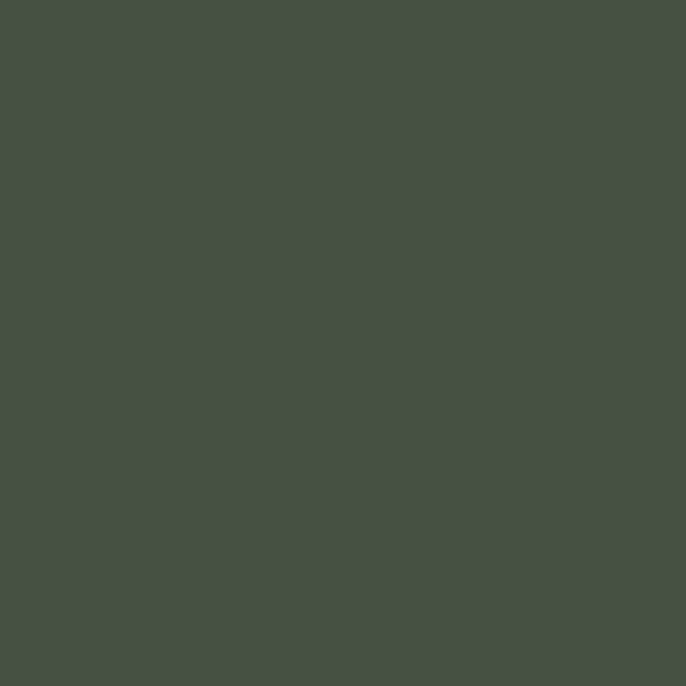 No. 224 Minster Green by Farrow & Ball, available at Regal Paint Centers