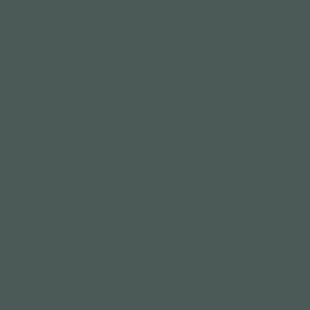 No. G17 Grove Green by Farrow & Ball, available at Regal Paint Centers