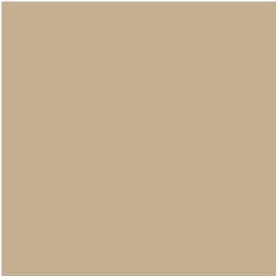 Shop Benajmin Moore's HC-44 Lenox Tan at Regal Paint Centers in Maryland & Virgina. Maryland's favorite Benjamin Moore dealer.