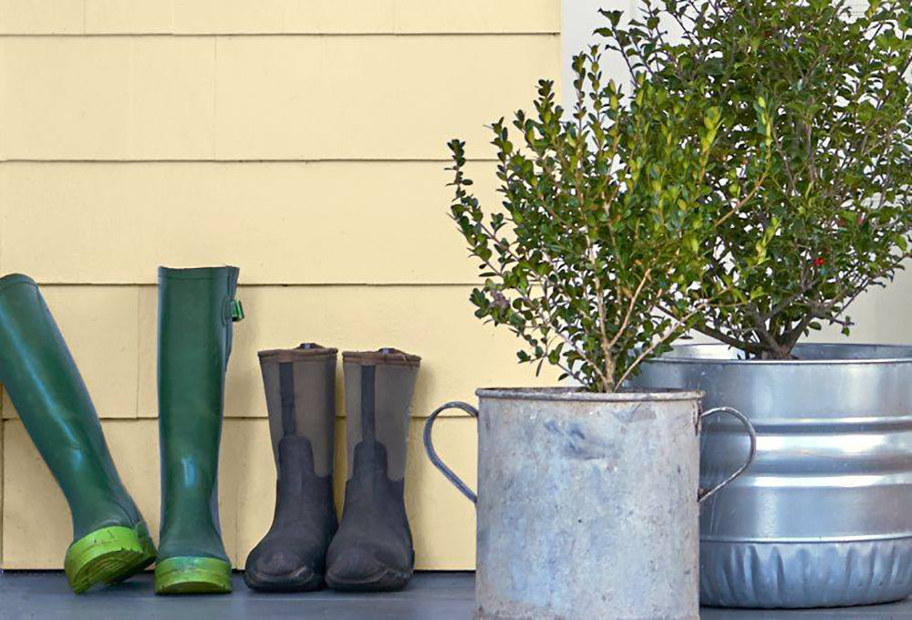 Spring Into Savings - Regal Paint Centers