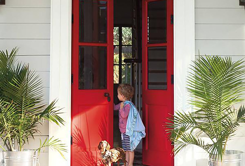 FENG SHUI: ATTRACT POSITIVITY BY PAINTING YOUR FRONT DOOR