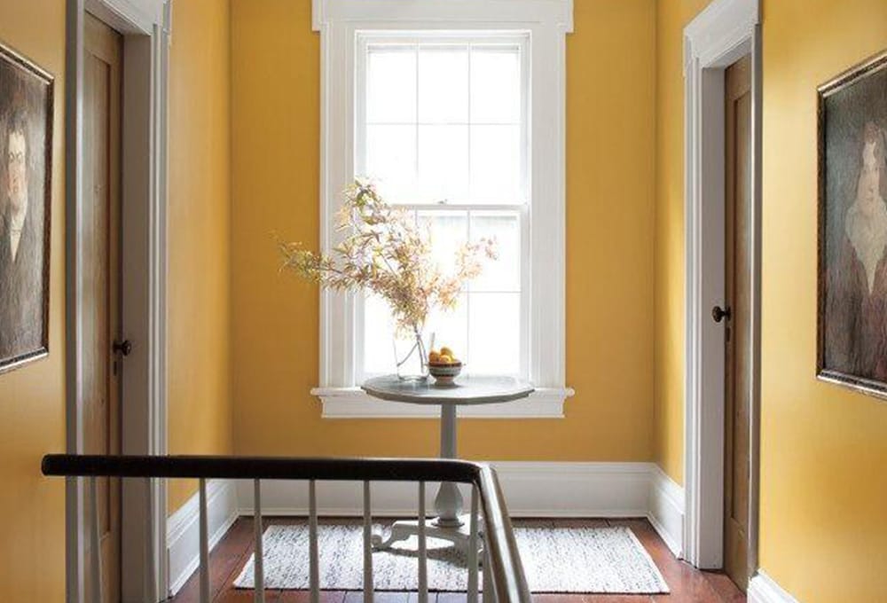 Things to Consider while Choosing Paint for Your Wood