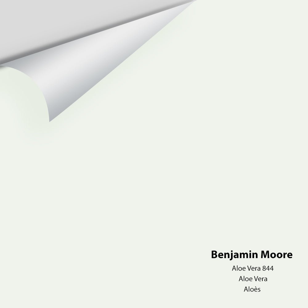 Digital color swatch of Benjamin Moore's Aloe Vera 844 Peel & Stick Sample available at Regal Paint Centers in MD & VA.