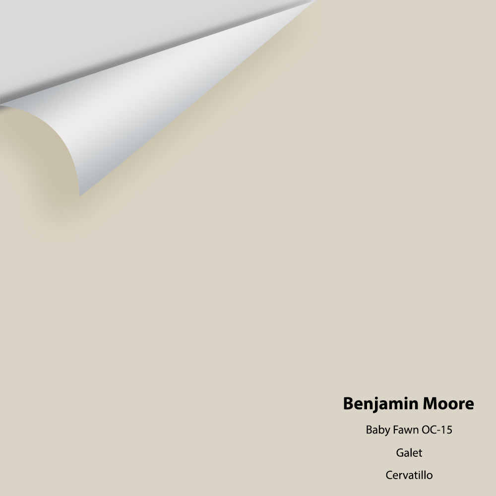 Digital color swatch of Benjamin Moore's Baby Fawn OC-15 Peel & Stick Sample available at Regal Paint Centers in MD & VA.