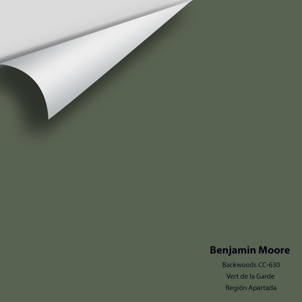 Digital color swatch of Benjamin Moore's Backwoods 469 Peel & Stick Sample available at Regal Paint Centers in MD & VA.