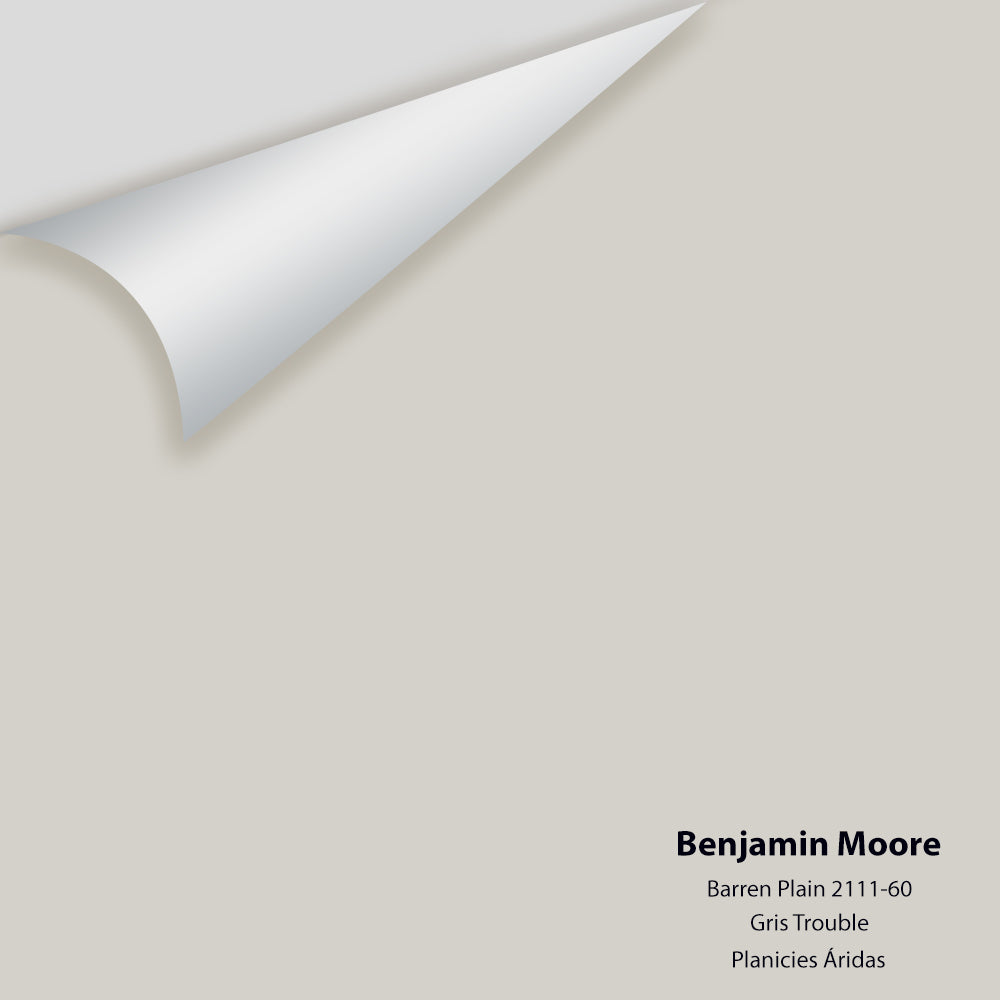Digital color swatch of Benjamin Moore's Barren Plain 2111-60 Peel & Stick Sample available at Regal Paint Centers in MD & VA.