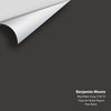 Digital color swatch of Benjamin Moore's Black Bean Soup (2130-10) Peel & Stick Sample available at Regal Paint Centers in MD & VA.