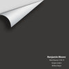 Digital color swatch of Benjamin Moore's Black Beauty (2128-10) Peel & Stick Sample available at Regal Paint Centers in MD & VA.