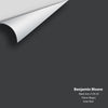 Digital color swatch of Benjamin Moore's Black Iron (2120-20) Peel & Stick Sample available at Regal Paint Centers in MD & VA.