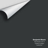 Digital color swatch of Benjamin Moore's Black Knight (2136-10) Peel & Stick Sample available at Regal Paint Centers in MD & VA.