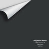 Digital color swatch of Benjamin Moore's Black Satin (2131-10) Peel & Stick Sample available at Regal Paint Centers in MD & VA.