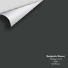 Digital color swatch of Benjamin Moore's Blacktop (2135-10) Peel & Stick Sample available at Regal Paint Centers in MD & VA.