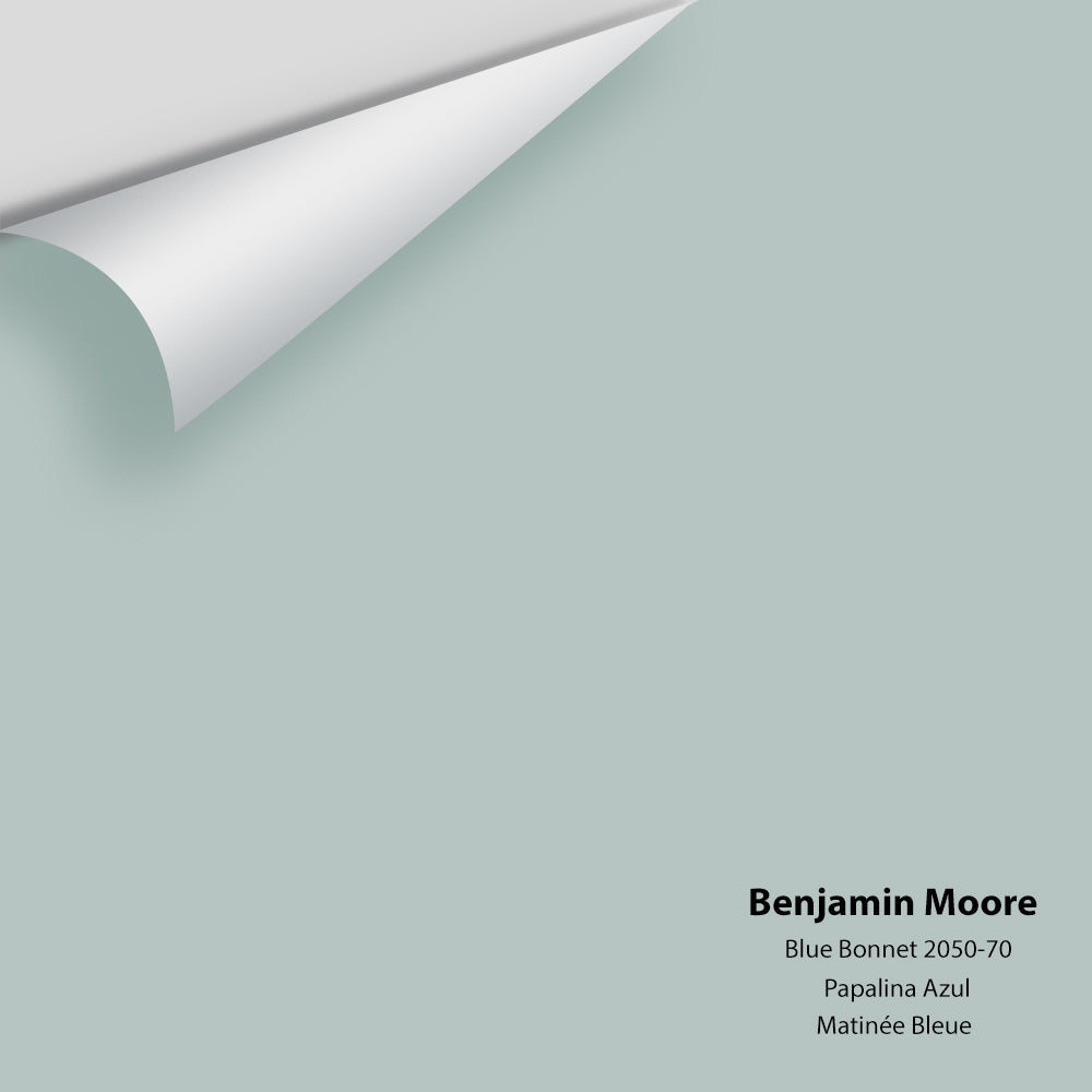 Digital color swatch of Benjamin Moore's Blue Bonnet 2050-70 Peel & Stick Sample available at Regal Paint Centers in MD & VA.