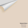 Digital color swatch of Benjamin Moore's Brandy Cream 1030 Peel & Stick Sample available at Regal Paint Centers in MD & VA.