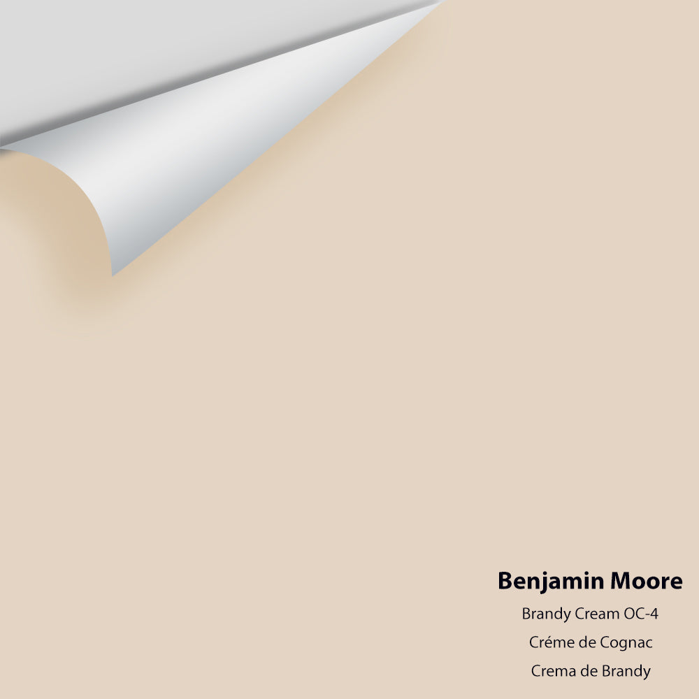 Digital color swatch of Benjamin Moore's Brandy Cream OC-4 Peel & Stick Sample available at Regal Paint Centers in MD & VA.