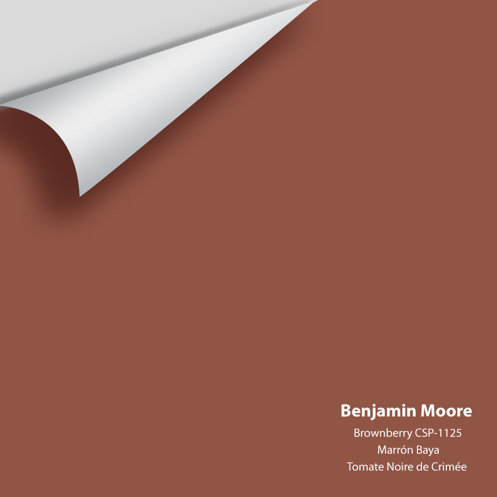 Digital color swatch of Benjamin Moore's Brownberry CSP-1125 Peel & Stick Sample available at Regal Paint Centers in MD & VA.
