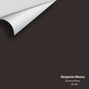 Digital color swatch of Benjamin Moore's Bucktrout Brown CW-180 Peel & Stick Sample available at Regal Paint Centers in MD & VA.