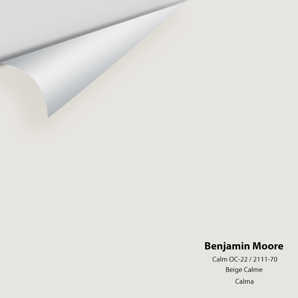 Digital color swatch of Benjamin Moore's Calm 2111-70 Peel & Stick Sample available at Regal Paint Centers in MD & VA.