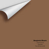 Digital color swatch of Benjamin Moore's Cattail CSP-295 Peel & Stick Sample available at Regal Paint Centers in MD & VA.