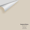 Digital color swatch of Benjamin Moore's Cedar Key 982 Peel & Stick Sample available at Regal Paint Centers in MD & VA.