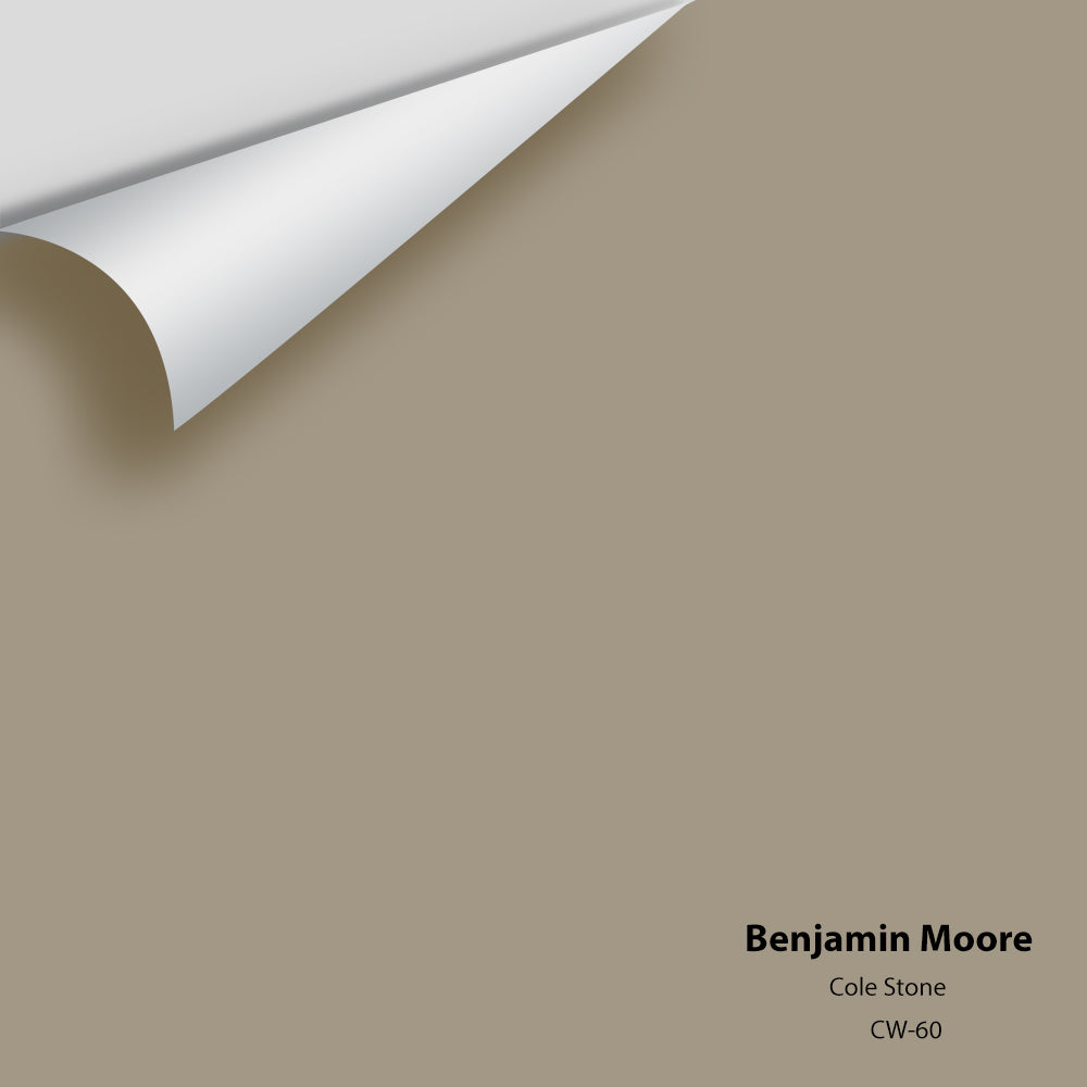 Digital color swatch of Benjamin Moore's Cole Stone CW-60 Peel & Stick Sample available at Regal Paint Centers in MD & VA.