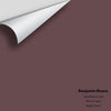 Digital color swatch of Benjamin Moore's Dark Walnut 1358 Peel & Stick Sample available at Regal Paint Centers in MD & VA.