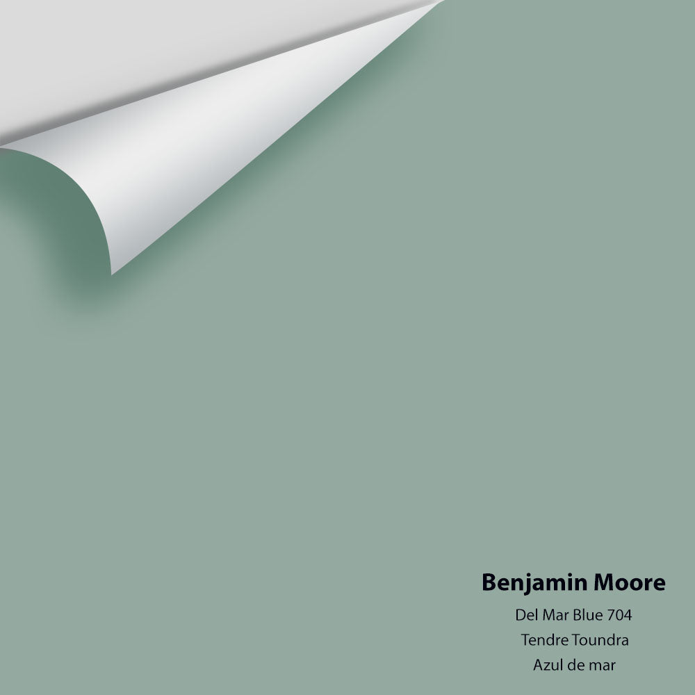 Digital color swatch of Benjamin Moore's Del Mar Blue 704 Peel & Stick Sample available at Regal Paint Centers in MD & VA.