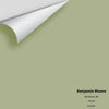 Digital color swatch of Benjamin Moore's Dill Weed 481 Peel & Stick Sample available at Regal Paint Centers in MD & VA.