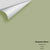 Digital color swatch of Benjamin Moore's Dill Weed 481 Peel & Stick Sample available at Regal Paint Centers in MD & VA.