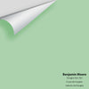 Digital color swatch of Benjamin Moore's Douglas Fern 563 Peel & Stick Sample available at Regal Paint Centers in MD & VA.