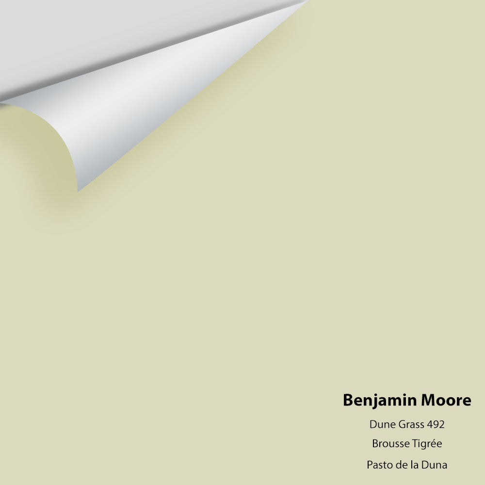 Digital color swatch of Benjamin Moore's Dune Grass 492 Peel & Stick Sample available at Regal Paint Centers in MD & VA.