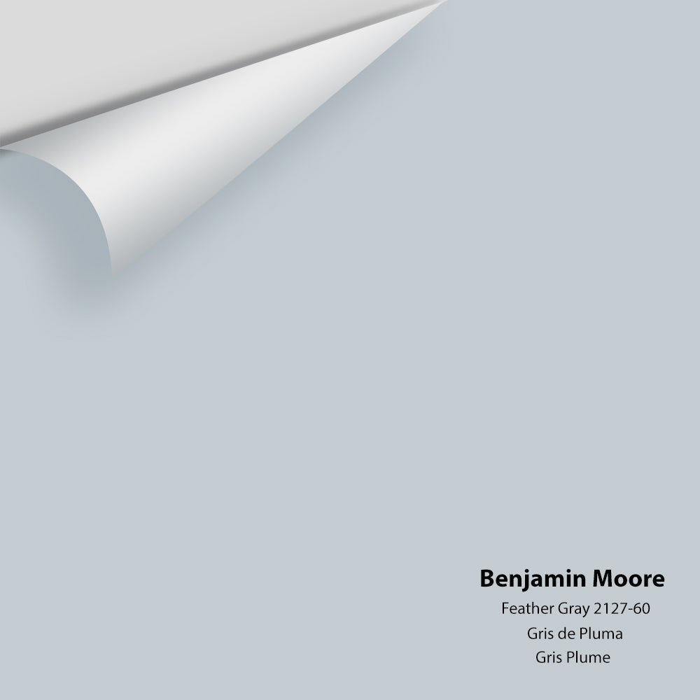 Digital color swatch of Benjamin Moore's Feather Gray 2127-60 Peel & Stick Sample available at Regal Paint Centers in MD & VA.