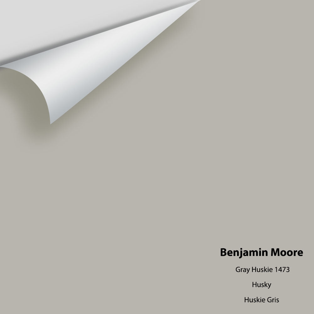 Digital color swatch of Benjamin Moore's Gray Huskie 1473 Peel & Stick Sample available at Regal Paint Centers in MD & VA.