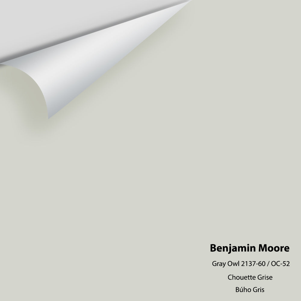 Digital color swatch of Benjamin Moore's Gray Owl 2137-60 Peel & Stick Sample available at Regal Paint Centers in MD & VA.