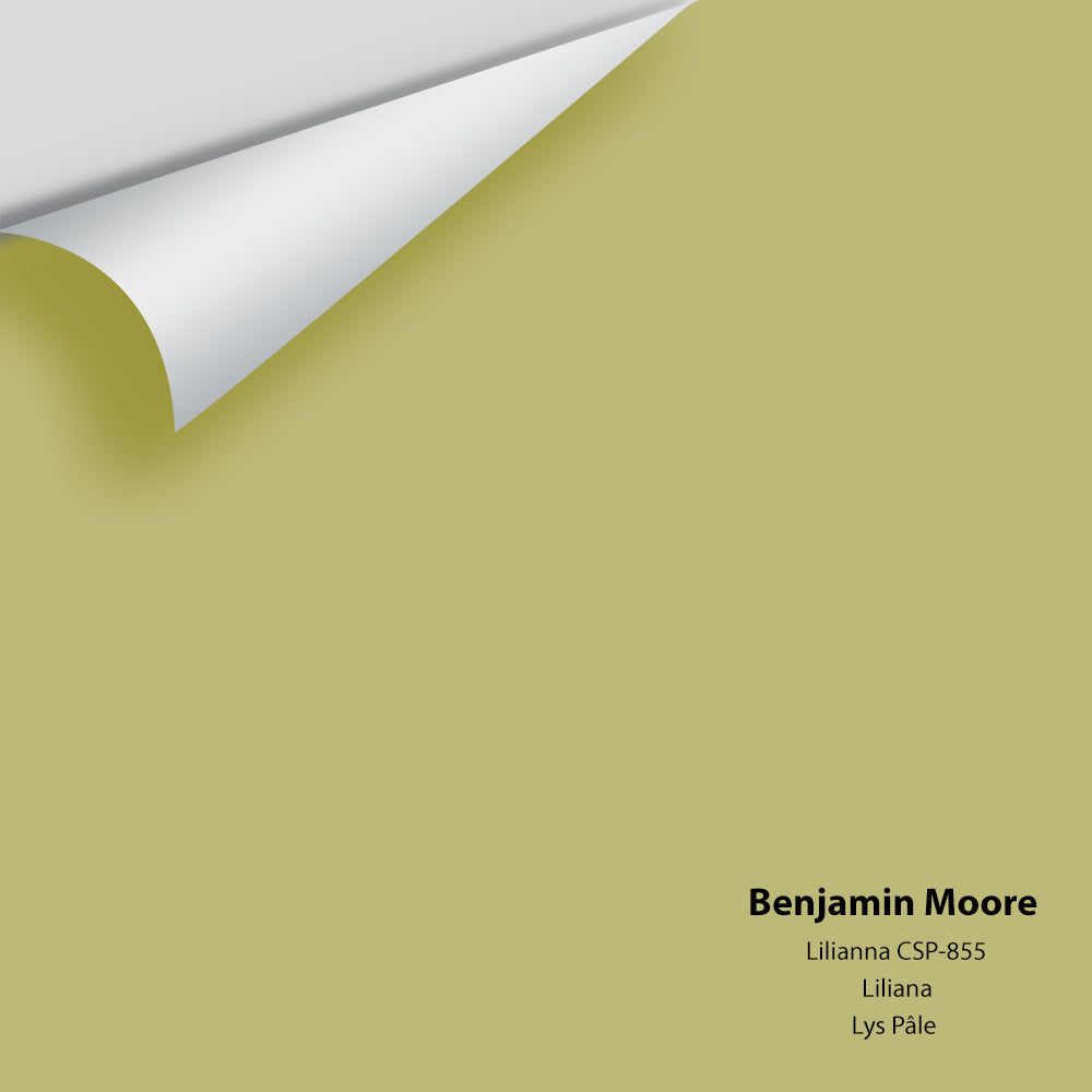 Digital color swatch of Benjamin Moore's Lilianna CSP-855 Peel & Stick Sample available at Regal Paint Centers in MD & VA.