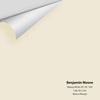 Digital color swatch of Benjamin Moore's Navajo White 947 Peel & Stick Sample available at Regal Paint Centers in MD & VA.