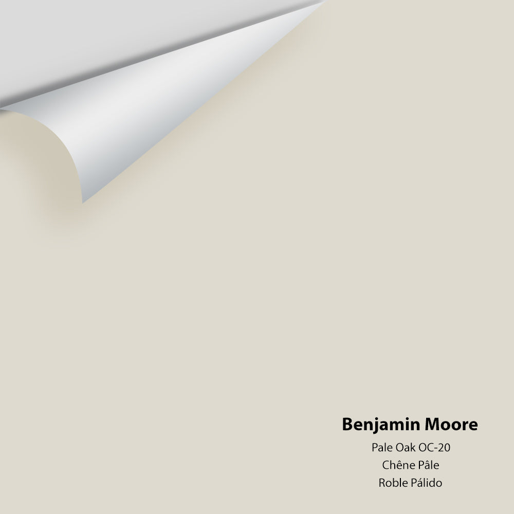 Digital color swatch of Benjamin Moore's Pale Oak OC-20 Peel & Stick Sample available at Regal Paint Centers in MD & VA.
