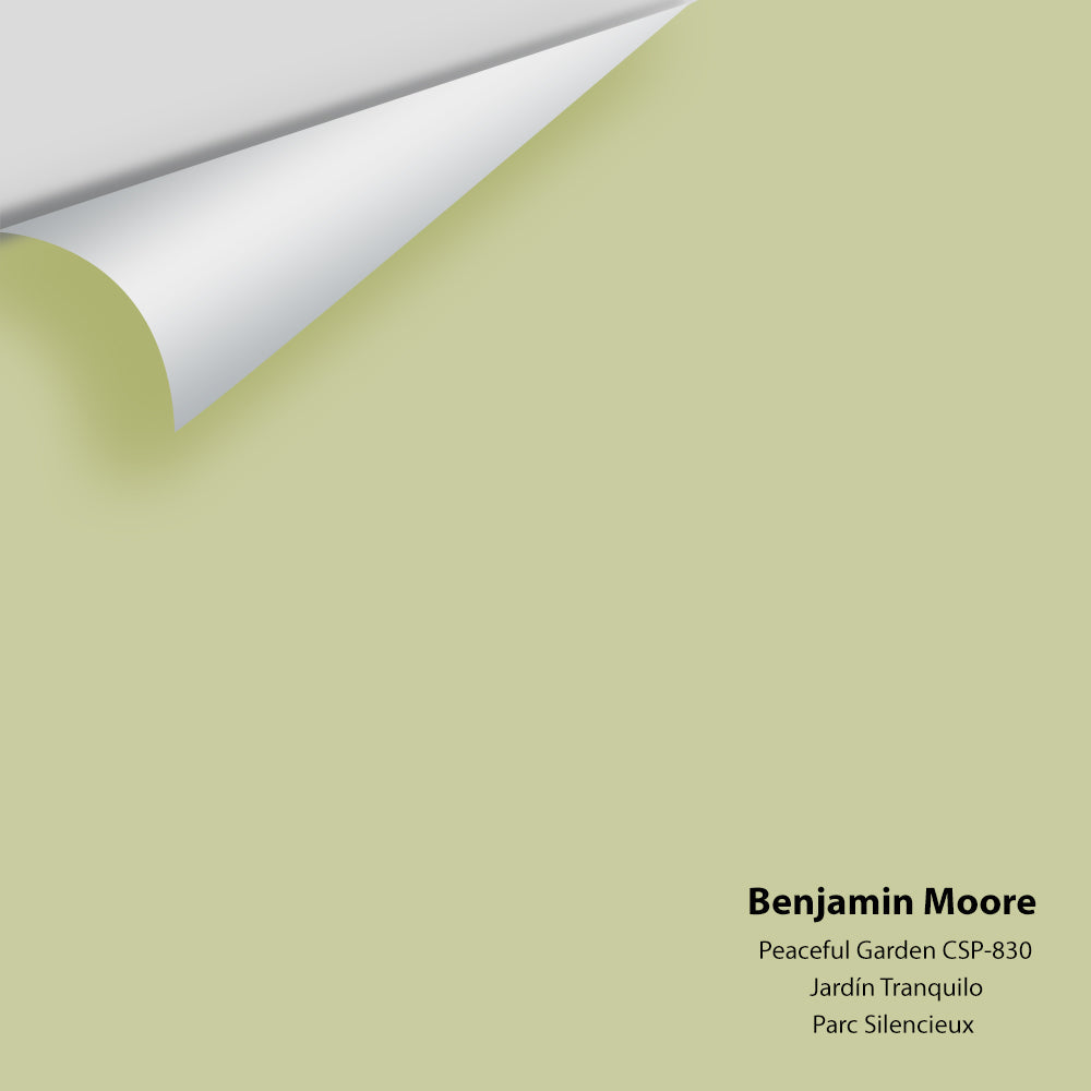 Digital color swatch of Benjamin Moore's Peaceful Garden CSP-830 Peel & Stick Sample available at Regal Paint Centers in MD & VA.