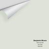 Digital color swatch of Benjamin Moore's Pearl Gray 863 Peel & Stick Sample available at Regal Paint Centers in MD & VA.