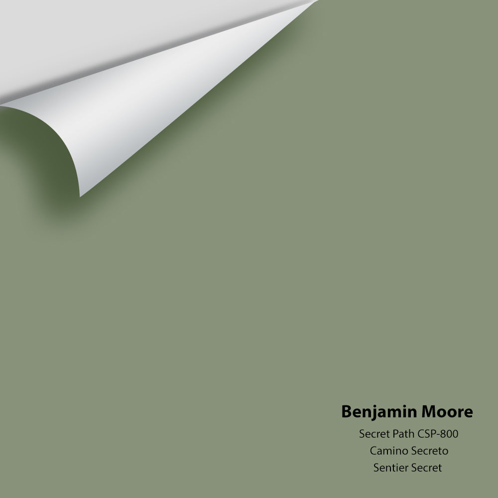 Digital color swatch of Benjamin Moore's Secret Path CSP-800 Peel & Stick Sample available at Regal Paint Centers in MD & VA.