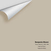 Digital color swatch of Benjamin Moore's Stone Hearth 984 Peel & Stick Sample available at Regal Paint Centers in MD & VA.