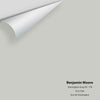 Digital color swatch of Benjamin Moore's Stonington Gray HC-170 Peel & Stick Sample available at Regal Paint Centers in MD & VA.