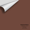 Digital color swatch of Benjamin Moore's Suede Brown 2101-10 Peel & Stick Sample available at Regal Paint Centers in MD & VA.