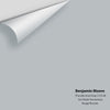 Digital color swatch of Benjamin Moore's Thundercloud Gray 2124-40 Peel & Stick Sample available at Regal Paint Centers in MD & VA.