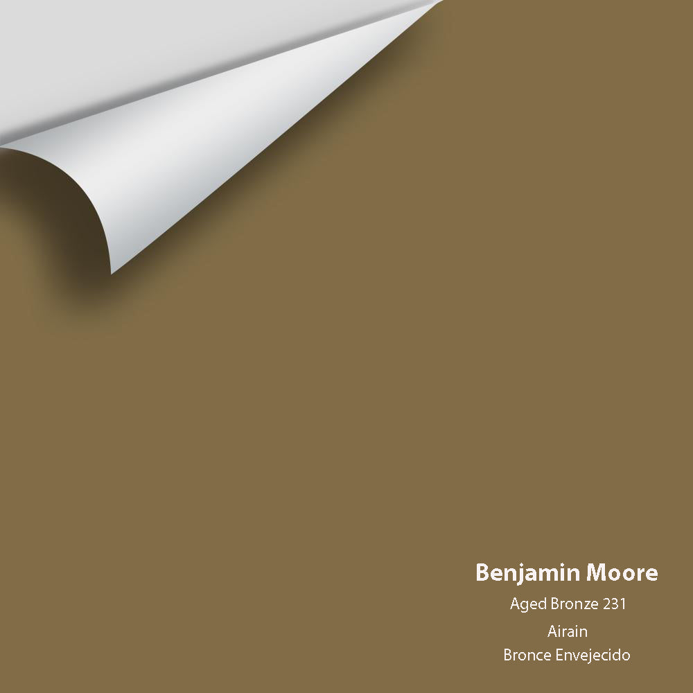 Digital color swatch of Benjamin Moore's Aged Bronze 231 Peel & Stick Sample available at Regal Paint Centers in MD & VA.